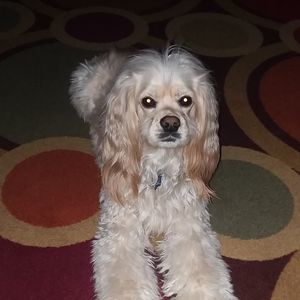 Meet your Posher, Felipe